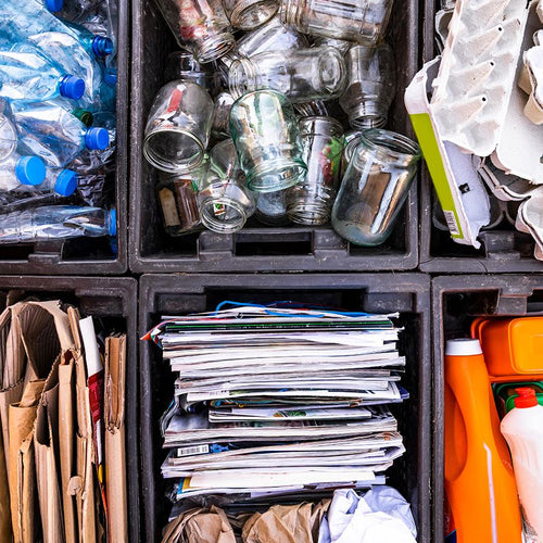 Dual Compartment Step Can and Compost Caddy