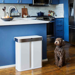 58L dual compartment rectangular sensor can with voice and motion control - white steel - lifestyle in kitchen with dog